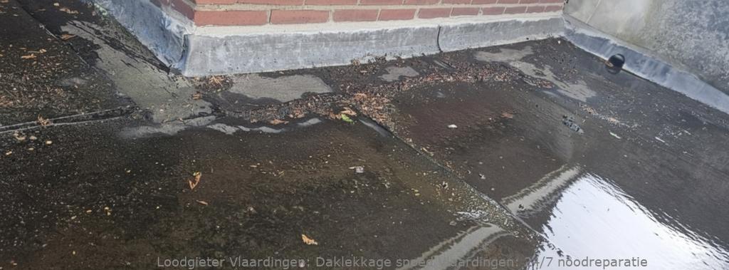 Daklekkage spoed Vlaardingen: 24/7 noodreparatie