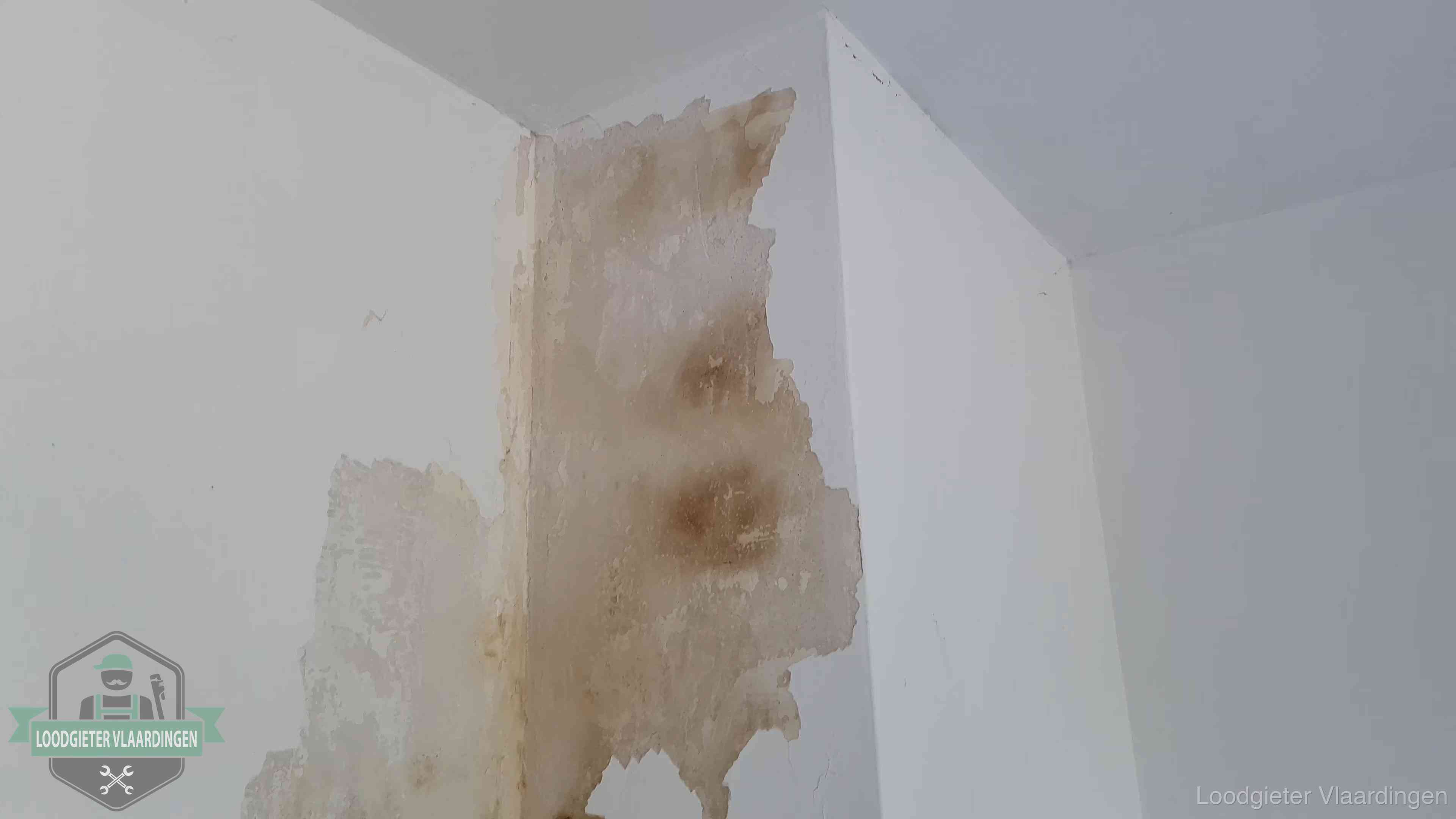Bruine vochtkringen en afbladderend stucwerk op een binnenmuur in Vlaardingen, een eerste teken van daklekkage