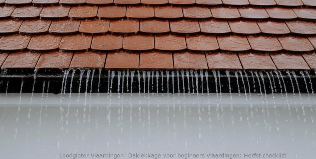 Daklekkage voor beginners Vlaardingen: Herfst checklist