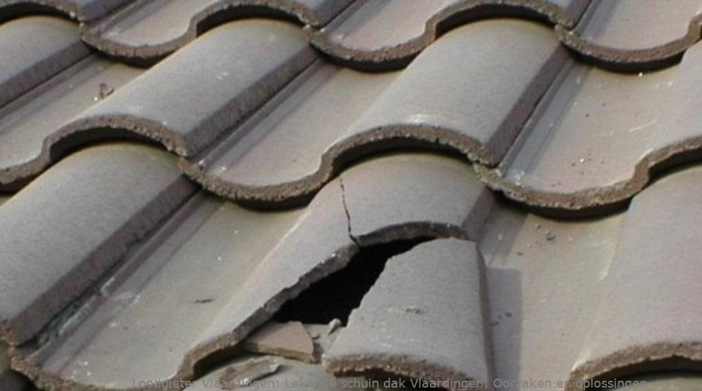 Lekkage schuin dak Vlaardingen: Oorzaken en oplossingen