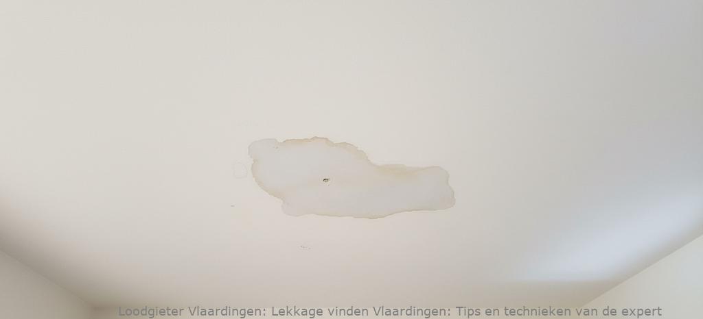 Lekkage vinden Vlaardingen: Tips en technieken van de expert
