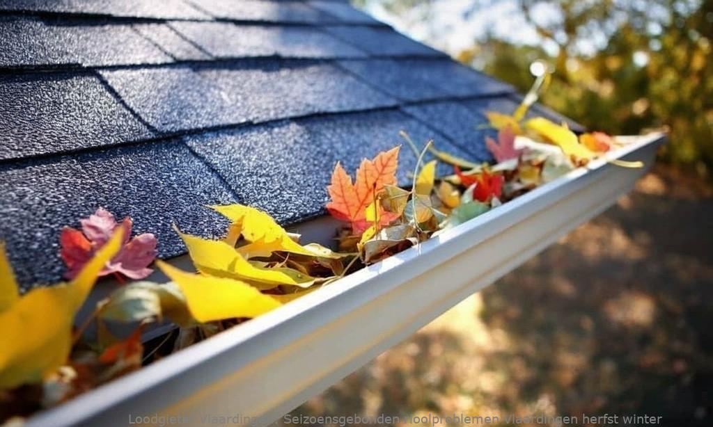 Seizoensgebonden rioolproblemen Vlaardingen herfst winter