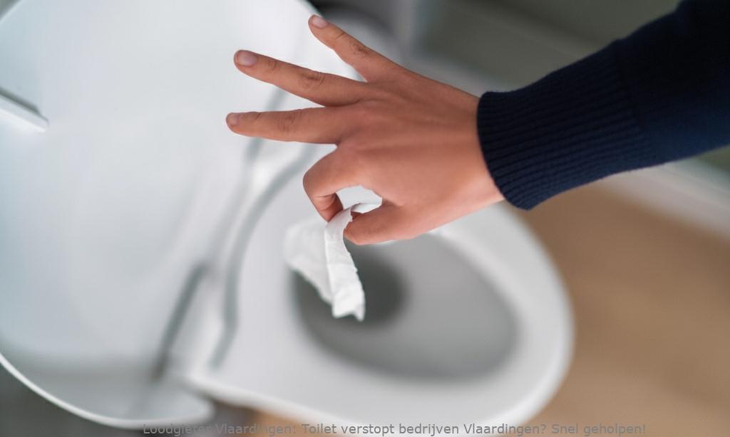 Toilet verstopt bedrijven Vlaardingen? Snel geholpen!