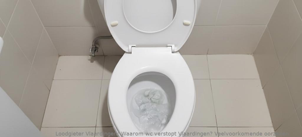 Waarom wc verstopt Vlaardingen? Veelvoorkomende oorzaken