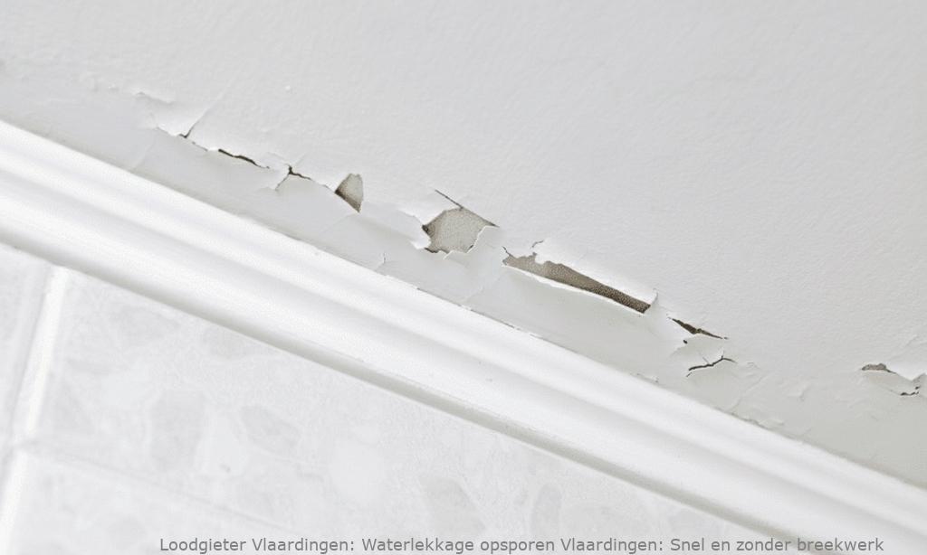 Waterlekkage opsporen Vlaardingen: Snel en zonder breekwerk